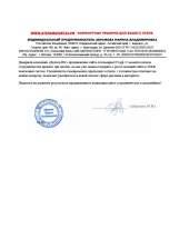 Отзыв довольного клиента - Отель - Маркет